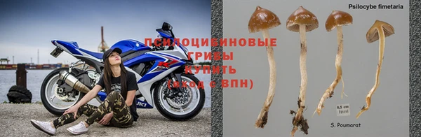 молекула духа Алзамай