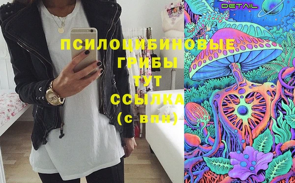 стаф Абаза