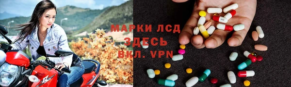 стаф Абаза
