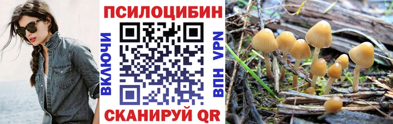 Псилоцибиновые грибы Psilocybine cubensis  Поворино 